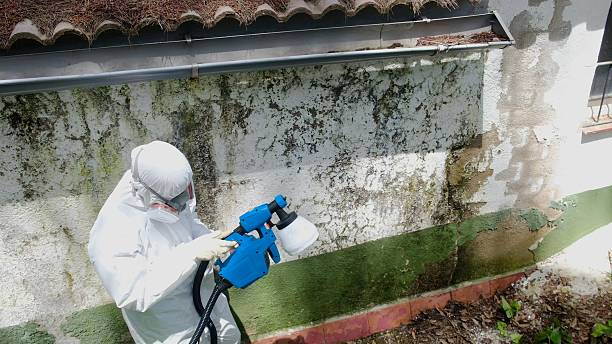 Top rated local Mold Testing specialists in Duluth, GA